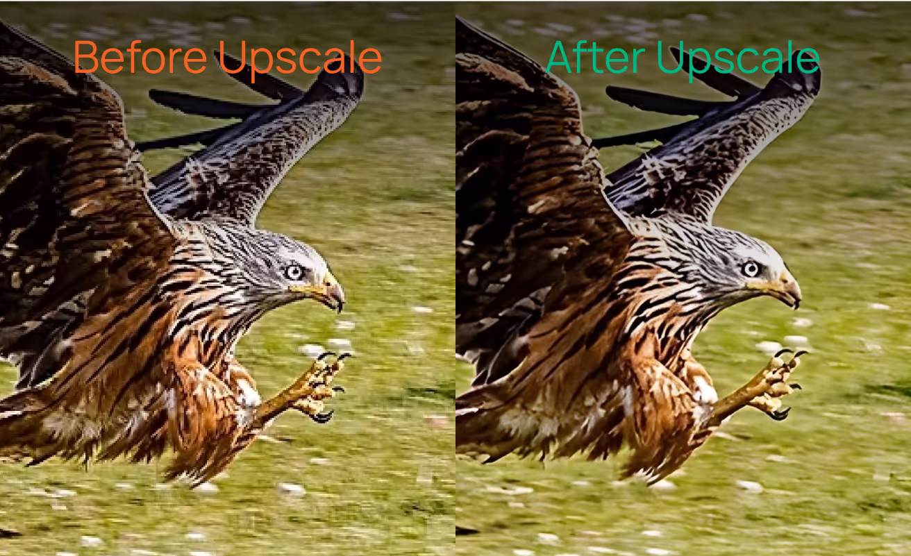 ferngrove before and after screenshot